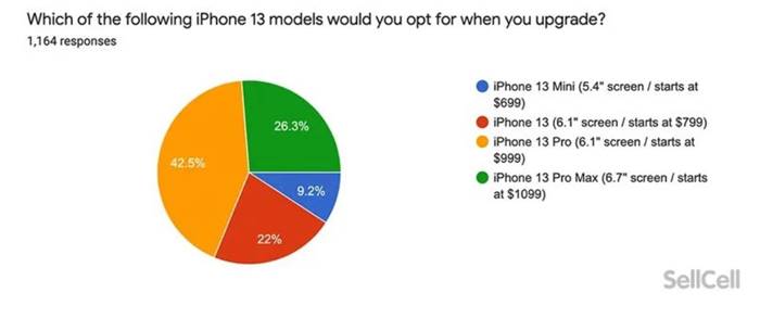 Apple FanBoy iPhone 13