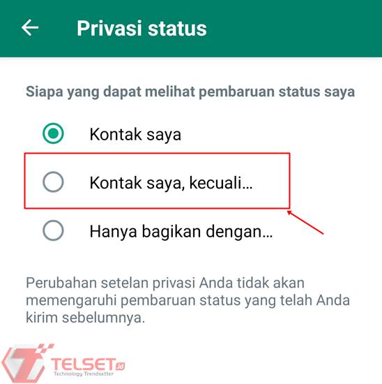 Sembunyikan Status WA 