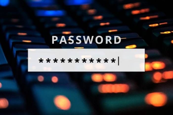 Cek Password Google Password Checkup 