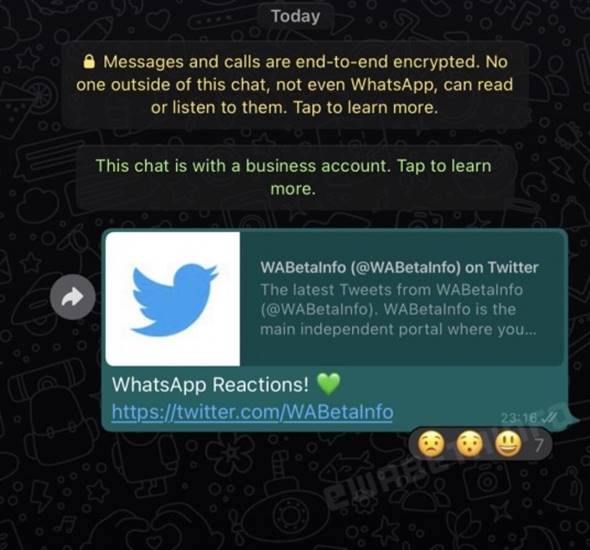 Fitur reaksi pesan Reaction aplikasi WA WhatsApp