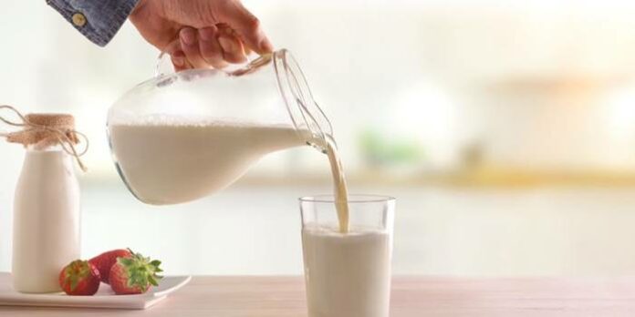 Susu Mikroorganisme Sapi Susu Mikroorganisme Sapi