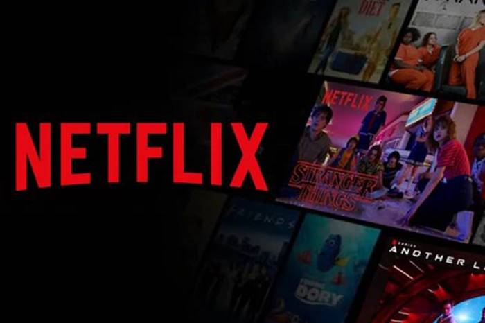 phishing netflix