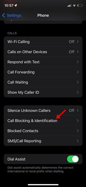 Cara menggunakan mengaktifkan Truecaller iPhone