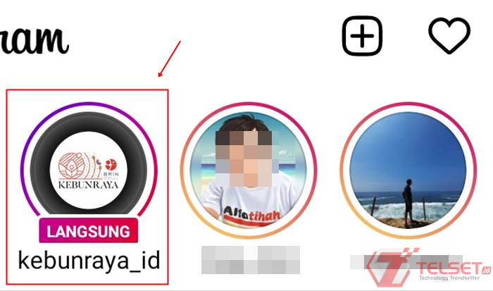Fitur Live Rings YouTube Instagram TikTok