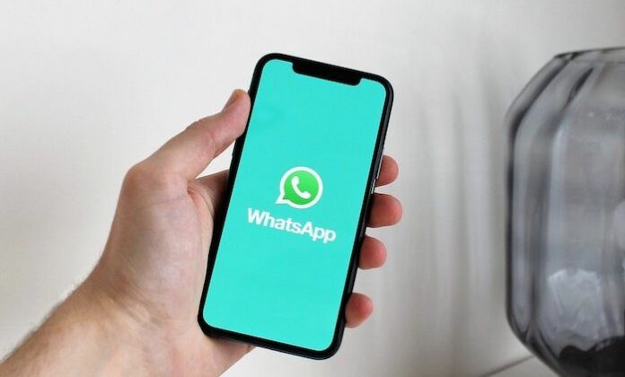 WhatsApp Kirim File 2GB 3 Kirim file besar 2 GB WhatsApp