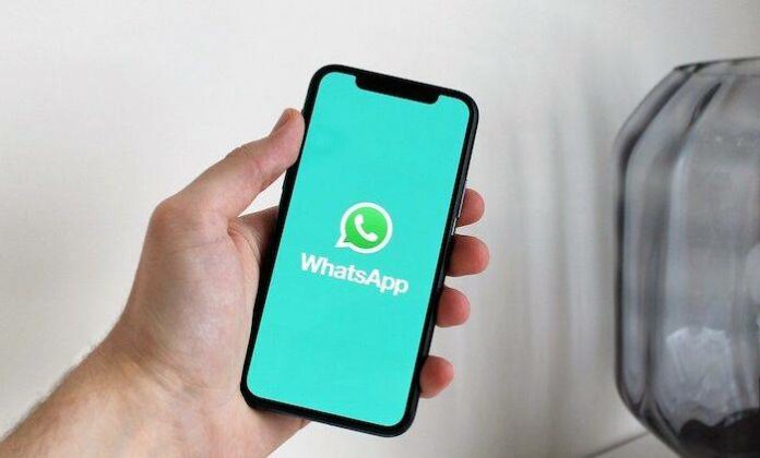 Fitur reaksi emoji whatsapp