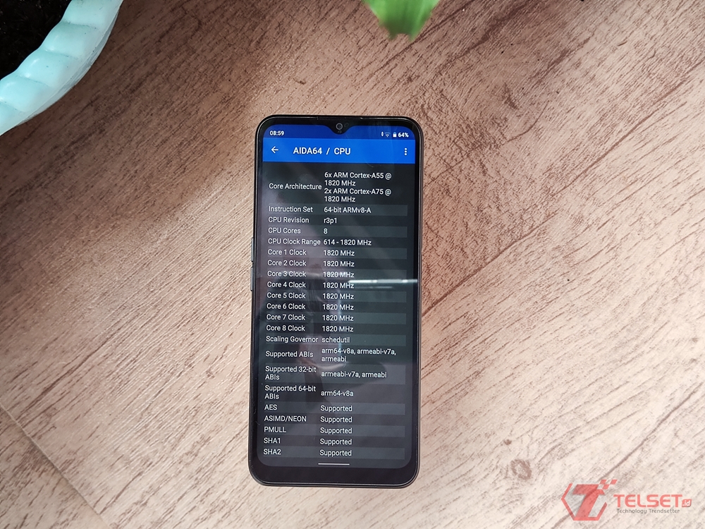 Review Realme C31