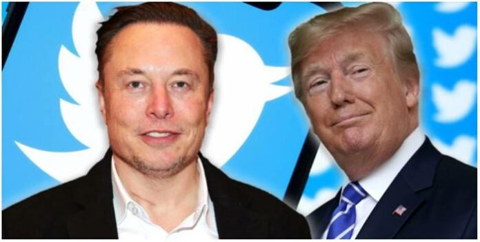 Elon Musk Donald Trump Twitter Elon Musk Donald Trump Twitter