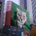 Foto Kamera 200MP Samsung