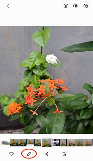 Tips foto kreatif samsung galaxy A33 5G