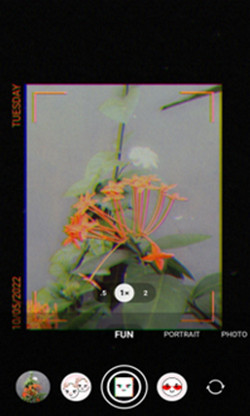 Tips foto kreatif samsung galaxy A33 5G