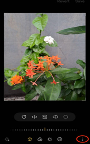 Tips foto kreatif samsung galaxy A33 5G