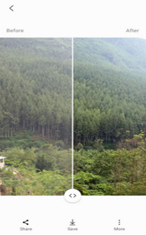 Tips foto kreatif samsung galaxy A33 5G