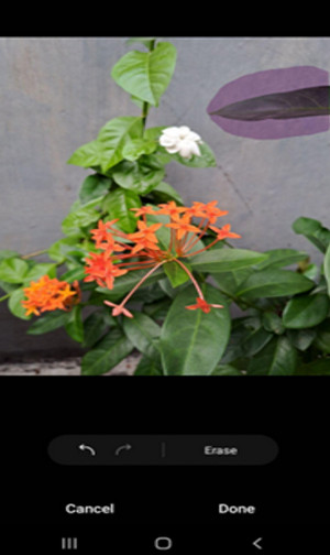 Tips foto kreatif samsung galaxy A33 5G