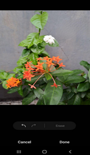 Tips foto kreatif samsung galaxy A33 5G