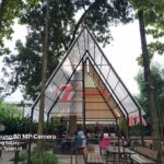 Hasil Kamera Samsung Galaxy M33 5G