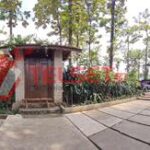 Mode Panorama Samsung Galaxy M33 5G