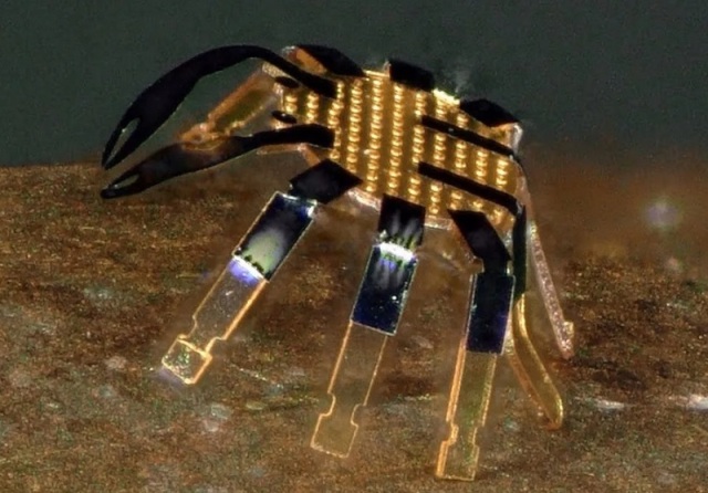 Robot Kepiting