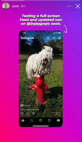 Instagram Layar Penuh TikTok