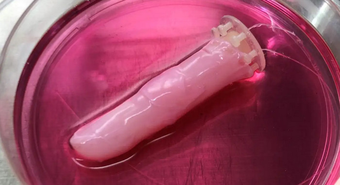 Kulit manusia Robot jari