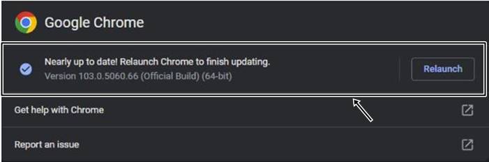 Google Chrome Update