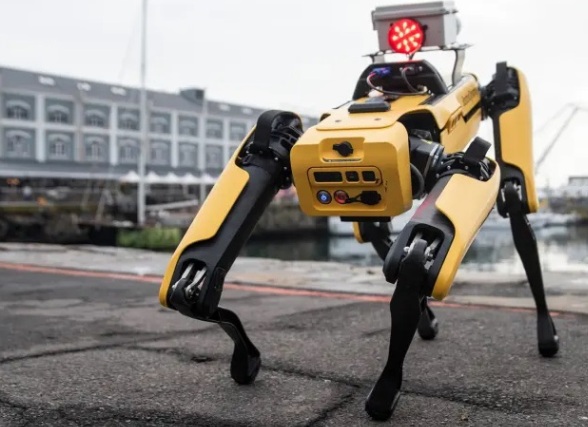 anjing robot cari bitcoin