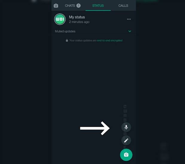 Voice Note Status WhatsAPp