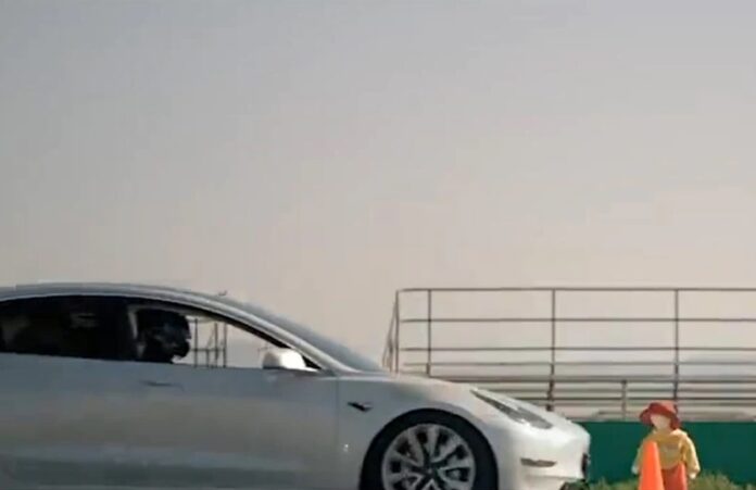 Mobil Tesla