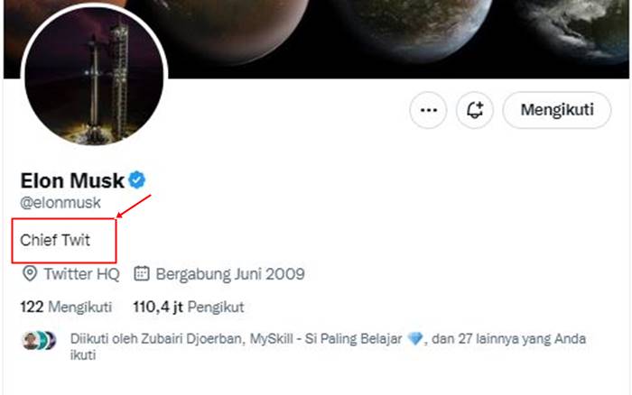 Elon Musk Chief Twit