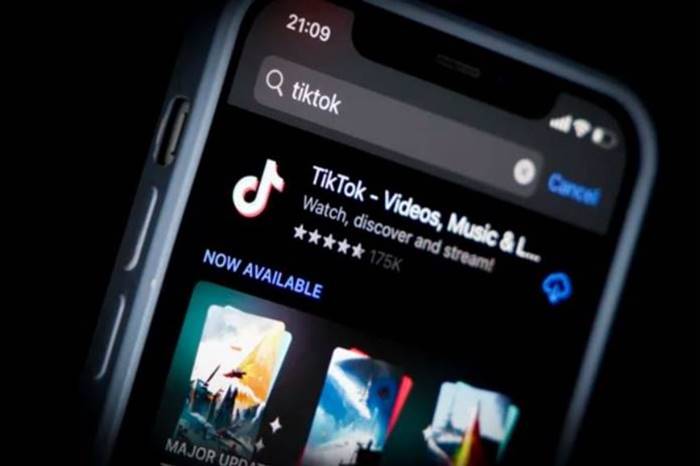 TikTok Samsung StemDrop