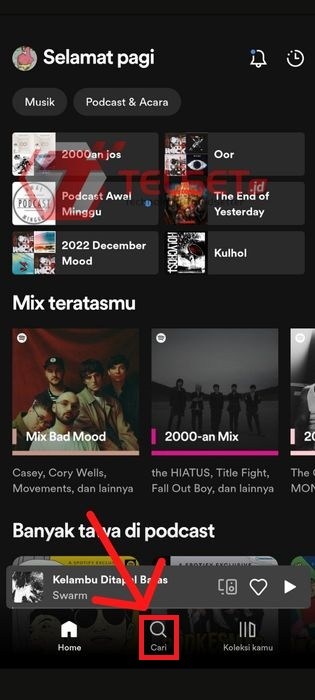 Cara Bagikan Lagu Spotify ke Instagram Story