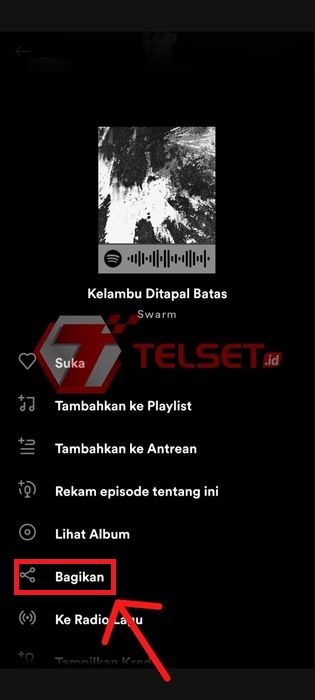 Cara Bagikan Lagu Spotify ke Instagram Story