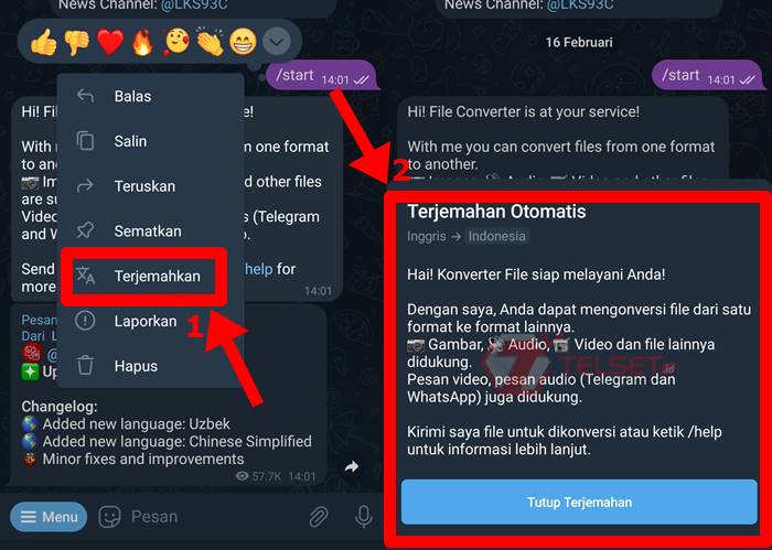 Cara Fitur Terjemahan Telegram