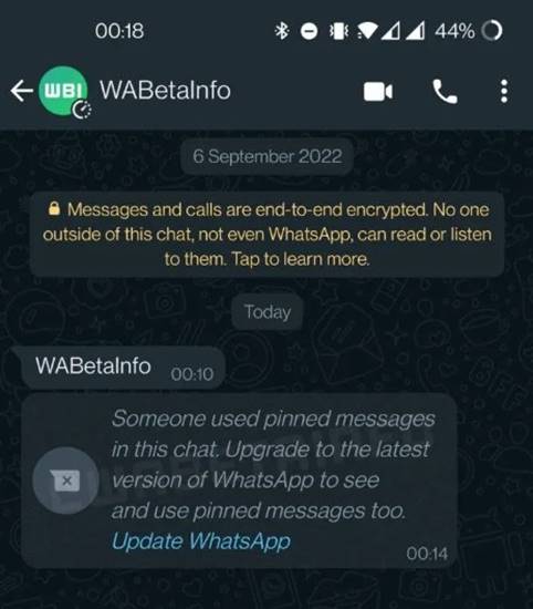 Penyematan Pesan WhatsApp