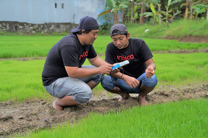 Telkomsel Indico Digitalisasi Pertanian