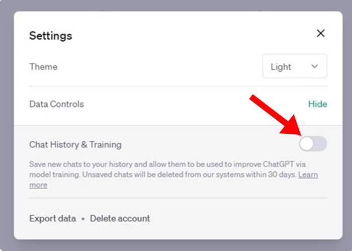 Cara History ChatGPT