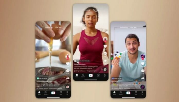 TikTok Aplikasi Pihak Ketiga TikTok Aplikasi Pihak Ketiga