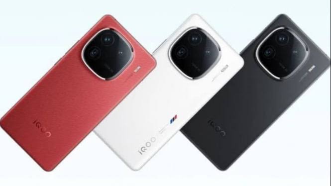 iQOO 13 5G IMEI