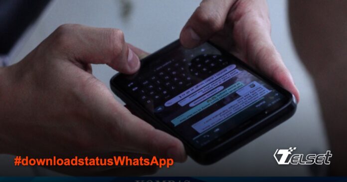 Cara Mudah Download Status WhatsApp Orang Lain Tanpa Ribet Ilustrasi cara download status WhatsApp orang lain