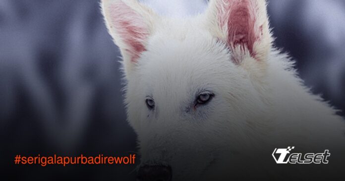 Colossal Biosciences Berhasil  Dua anak serigala putih dire wolf hasil rekayasa genetik Colossal Biosciences