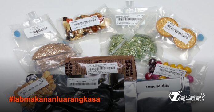 Lab makanan mini Eropa diluncurkan ke luar angkasa untuk hasilkan steak dan kentang dari sel tunggal