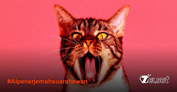 Baidu Kembangkan AI untuk Menerjemahkan Meongan Kucing, Mungkinkah? Ilustrasi kucing dan AI penerjemah suara hewan
