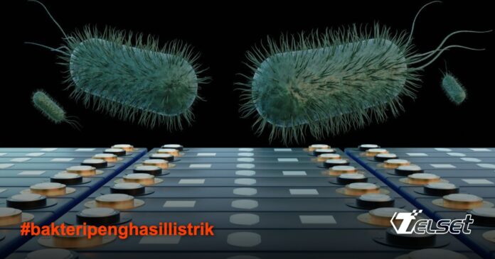 Bakteri Penghasil Listrik: Terobosan Baru untuk Energi Bersih Ilustrasi bakteri penghasil listrik dalam penelitian energi terbarukan