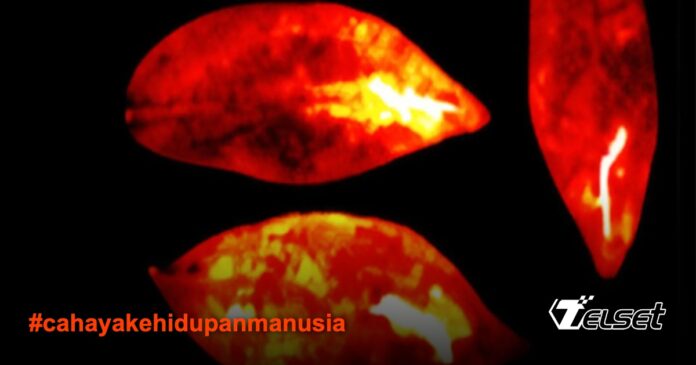 Ilustrasi pancaran cahaya biophoton dari tubuh manusia yang hidup