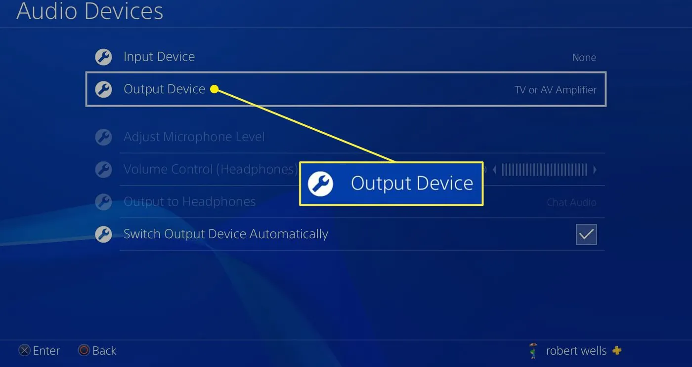 Select Output Device.