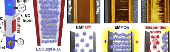 Material berbentuk bulu babi untuk pengolahan air limbah oleh KIST