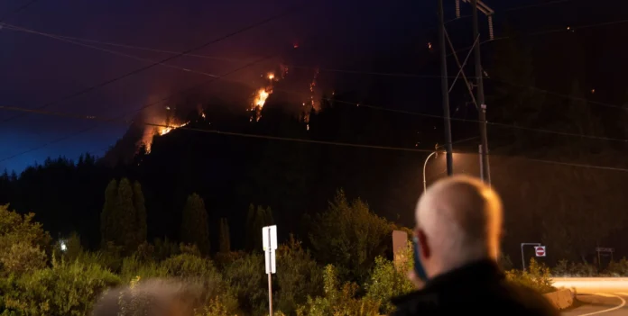 image-1750592821246-1260.webp Ilustrasi kebakaran hutan dengan teknologi deteksi AI