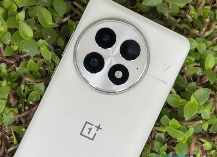 OnePlus 13 Arctic Dawn dengan pembaruan ColorOS terbaru