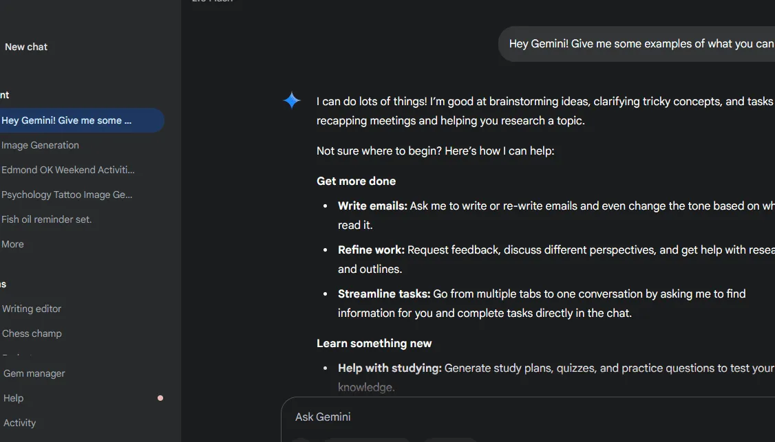 A sample conversation with Google Gemini