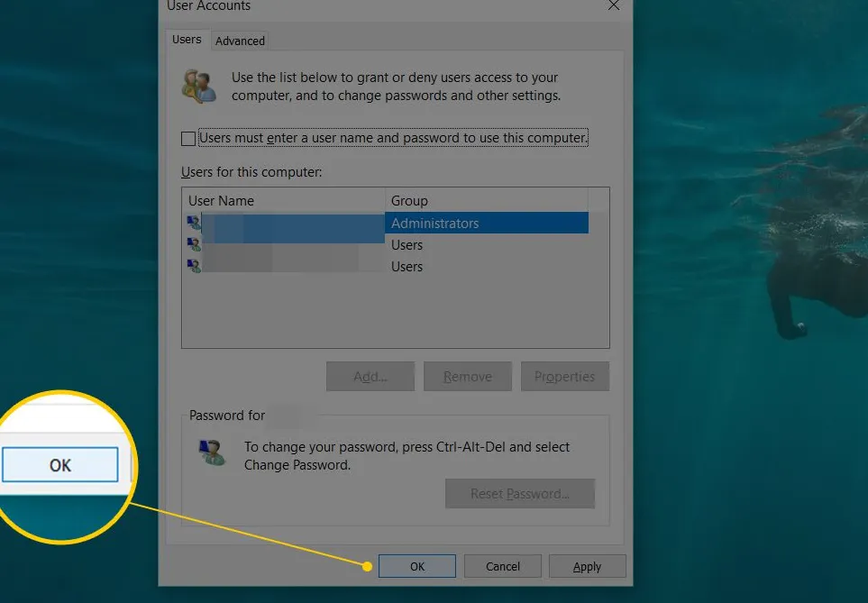 OK button after Users must enter a user name and password to use this computer checkbox is unchecked